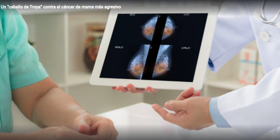 Captura de pantalla 2021-05-13 a las 19.48.08